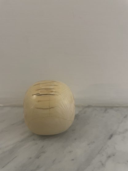 Teschio - immagine 2